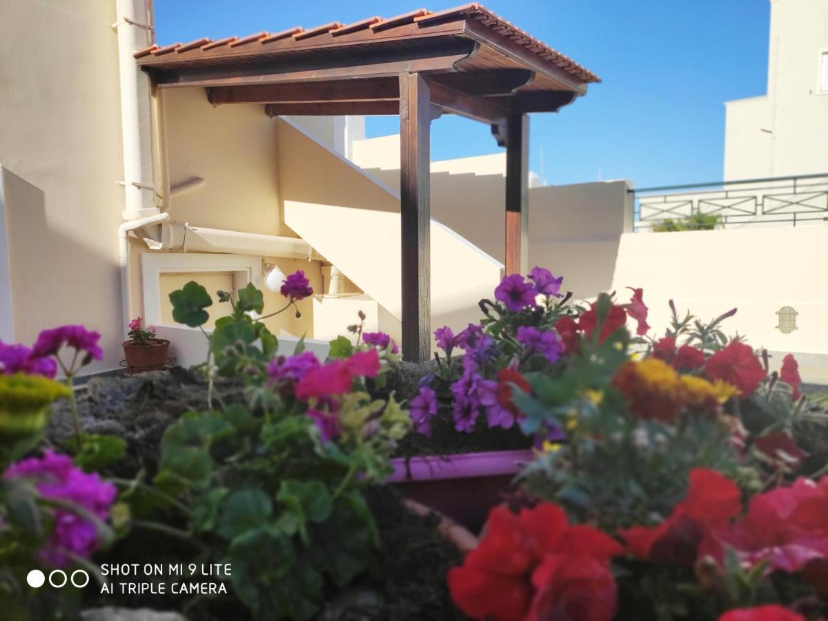 Villa Aphrodite Kolymbari Extérieur photo